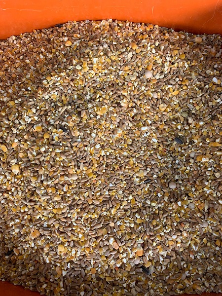 Australian Dove or Pigeon Seed Mix 1KG or 5KG