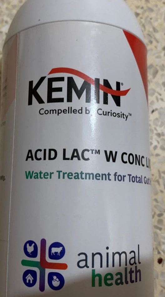 Imported Best quality Kemin ACID LAC W CONC LIQUID Ph for chicken lovebird cockatiel conure and all small to big animal and bird 1000gm per pack
